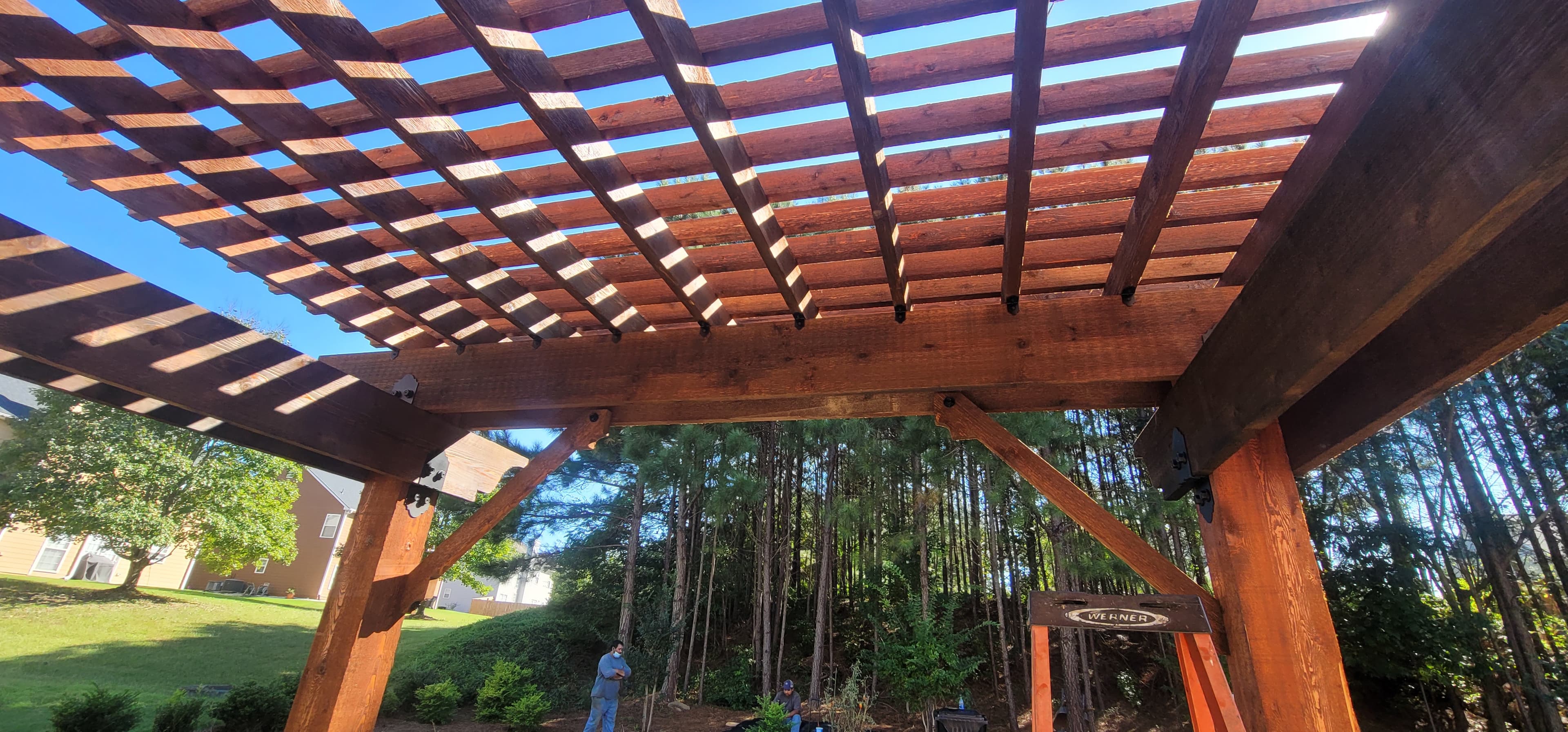 View looking up through pergola beams